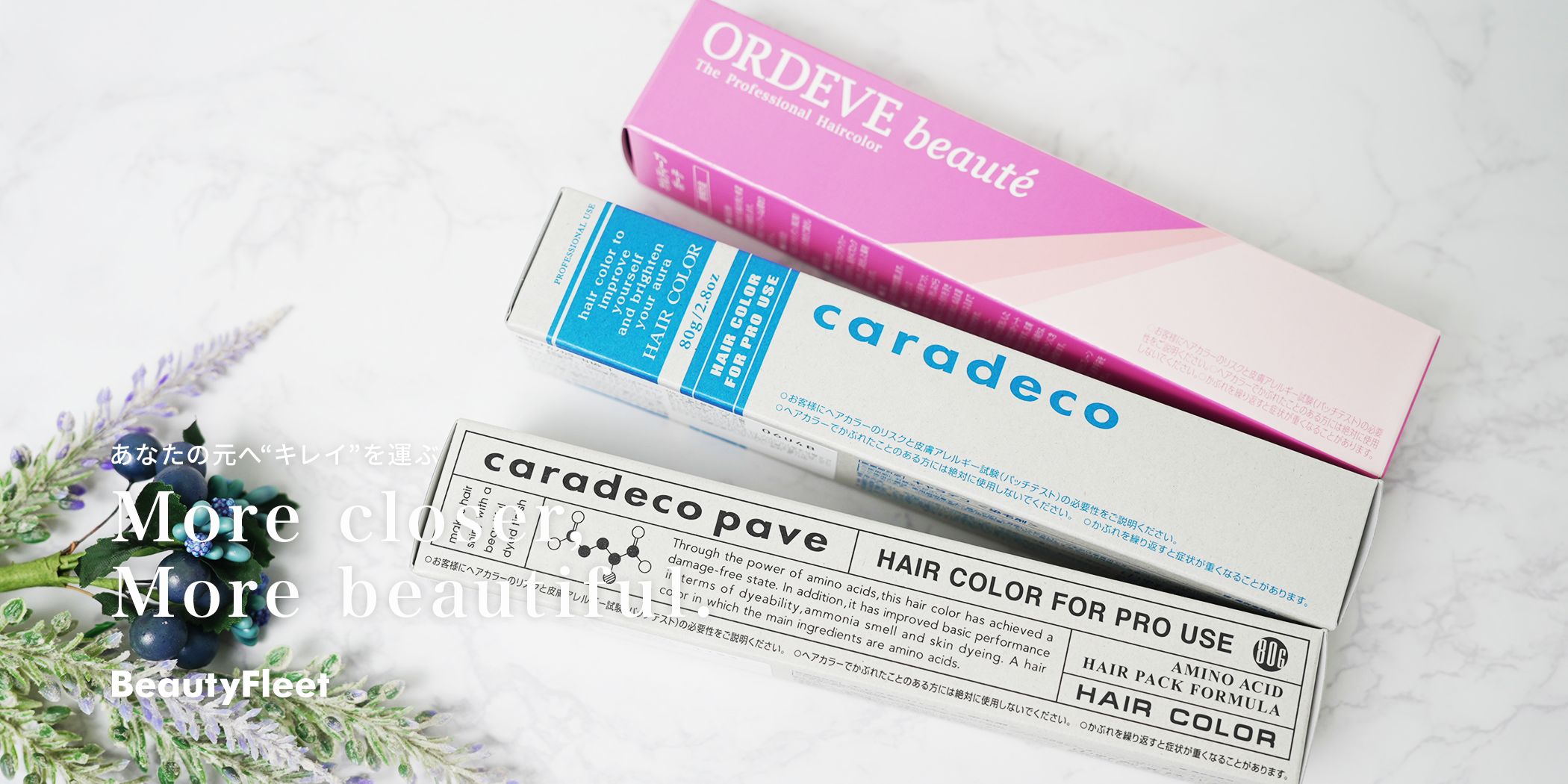 ビューフリートイメージ